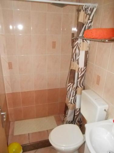 a bathroom with a toilet and a shower and a sink at Love 2 Solkan in Nova Gorica
