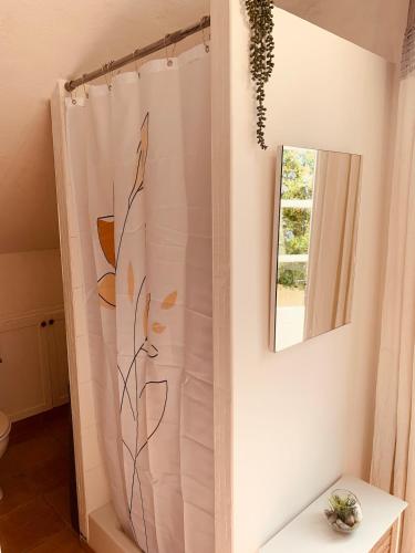 un bagno con tenda da doccia e specchio di Medieval Studio St Eloi a Le Castellet