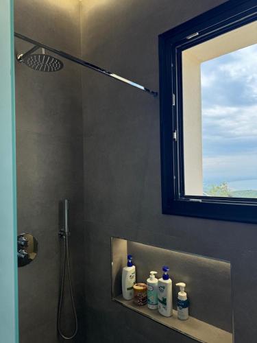 a bathroom with a shower with bottles on a shelf at TwinSeas in Draç