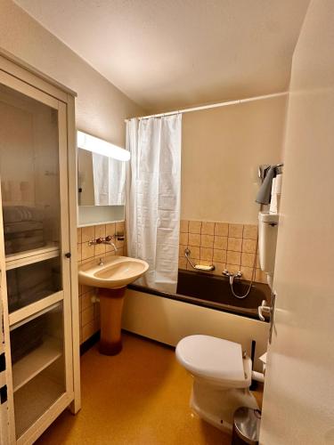 a bathroom with a toilet and a sink at Ferdinands Gateaway inkl Breakfast in Bern