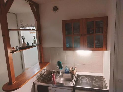Kuchyň nebo kuchyňský kout v ubytování Appart studio Thorigny