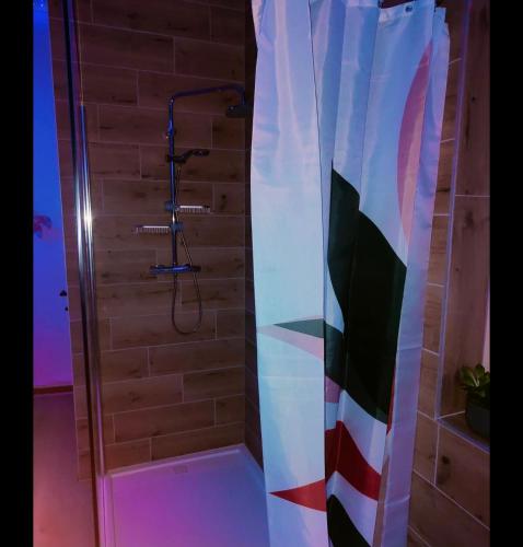 e bagno con doccia e tenda. di Le relax & vous a La Louvière