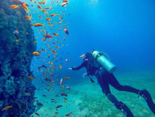 uma pessoa a nadar no oceano com uma escola de peixes em Hospedaje Mar Adentro em Puerto Limón