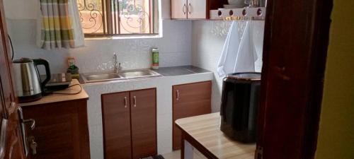 a small kitchen with a sink and a trash can at Palm Suites Unit3 in Mbale