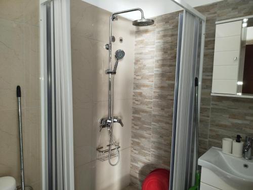 a shower with a shower head in a bathroom at Harmony Apartments in Larisa