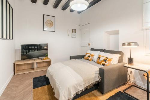 a bedroom with a bed and a television in it at Charmante Suite - LSP le Marais in Paris