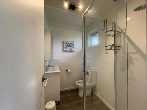a bathroom with a glass shower and a toilet at Peaceful 3BR Family Home with free Parking and Garden Oasis in Bayswater