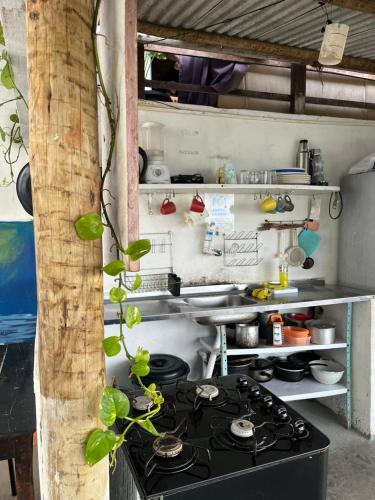 a kitchen with a stove top in a room at Vista Surf Pipa Hostel in Pipa