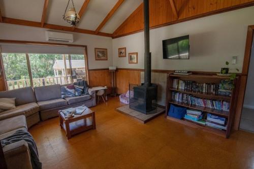a living room with a couch and a fireplace at Settlers Chalet in Kalgan
