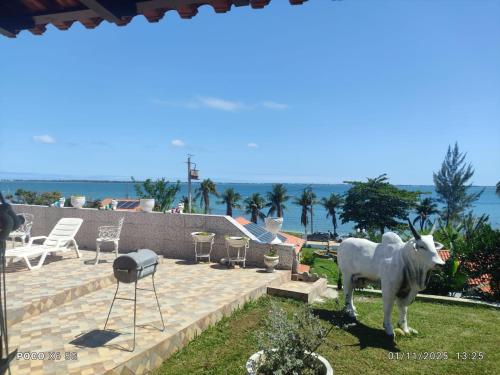 Naturlandskabet i nærheden af feriehuset