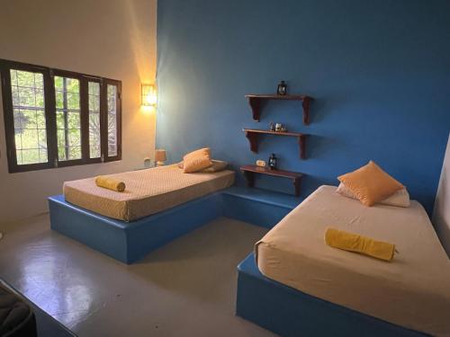 two beds in a room with blue walls at Buena Onda Backpackers in San Juan del Sur
