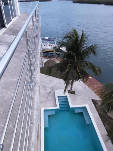 Harbour Place Suites في بلاسينسيا فيليدج: مسبح بالنخيل بجانب الماء