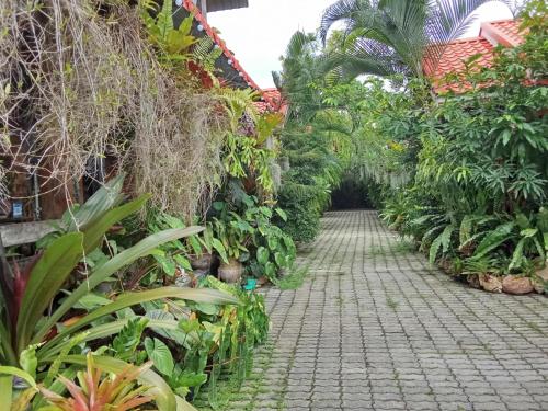 a walkway in a garden with many plants at Ouychai Home stay resort in Chiang Mai