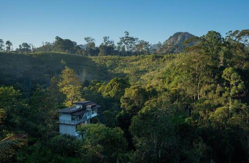 a building in the middle of a forest at Lavee Villa Ella in Ella