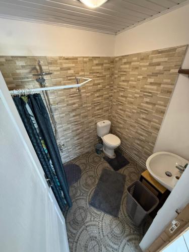 a bathroom with a toilet and a sink at Ave Surfing House in Mahina