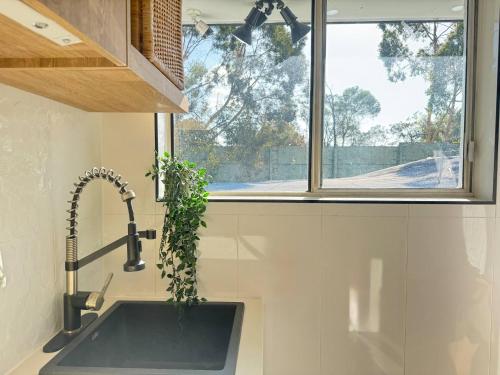 a kitchen sink with a potted plant next to a window at Studio in Belmont | Easy to City & Airport in Brisbane