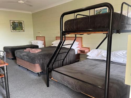Una cama o camas en una habitación de Yungaburra Park Motel