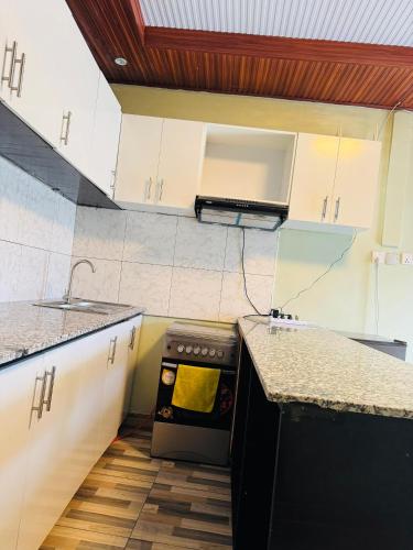 Η κουζίνα ή μικρή κουζίνα στο Serene apartment