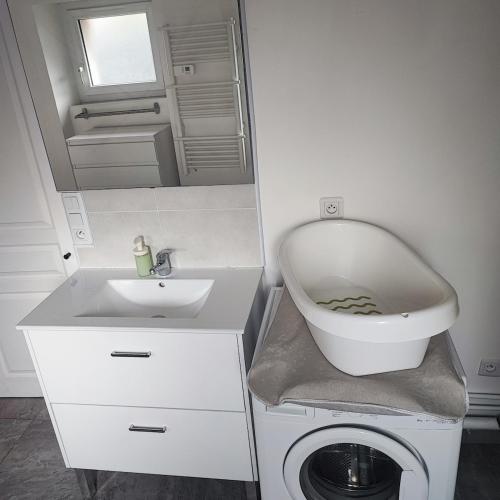a bathroom with a sink and a washing machine at Cozy house, small garden and parking, train station on foot in Orgerus