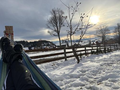 Το BiSER PANČIĆA τον χειμώνα