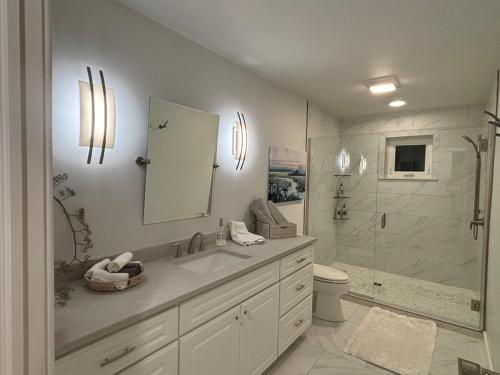 a bathroom with a sink and a toilet and a shower at Mississippi waterfront getaway-Dogs Welcome! in Brownsville