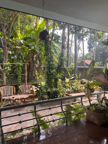 Zahrada ubytování GingerLime Surf and Bakery House