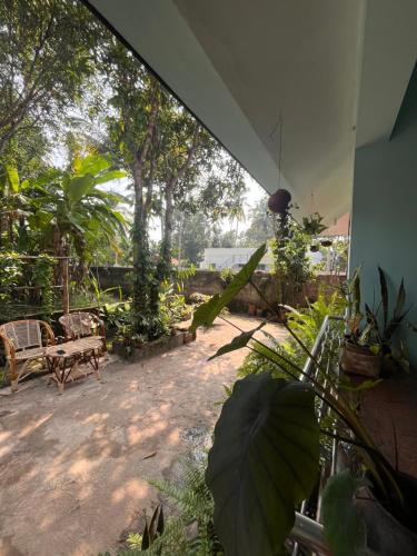 Zahrada ubytování GingerLime Surf and Bakery House