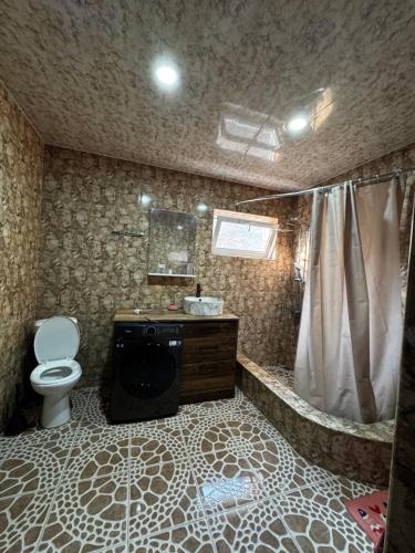 een badkamer met een toilet en een douche bij Vintage Villa Mtskheta in Mtskheta