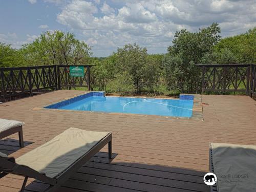 Swimmingpoolen hos eller tæt på Mufasa's Den Zebula