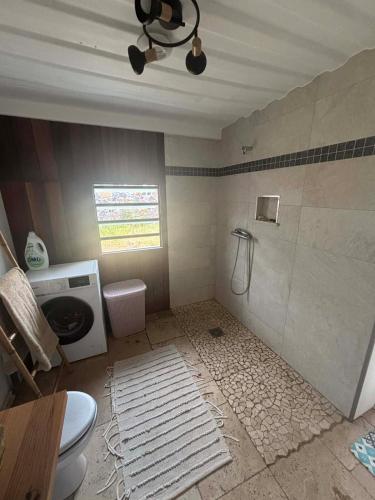 ein Badezimmer mit Dusche und Toilette in der Unterkunft Le petit refuge in Les Avirons