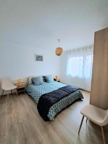 Appartement cosy Colmar centre avec parking