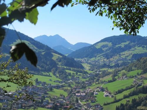 a view of a valley in the mountains at Hotel Simmerlwirt in Niederau