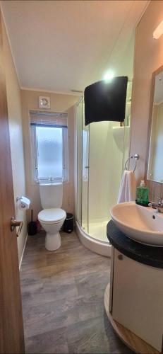 a bathroom with a toilet and a shower and a sink at Bay View Lodge in Heysham