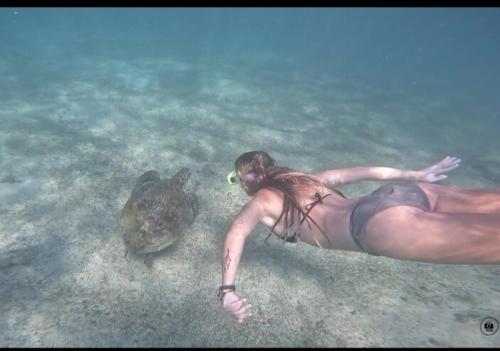 Hosté ubytování Dhanashi Villa Talalla