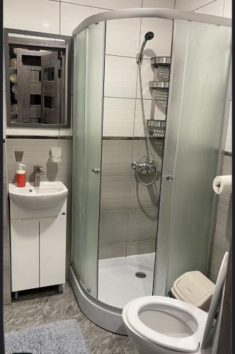 a bathroom with a shower and a toilet and a sink at Family in Mukacheve