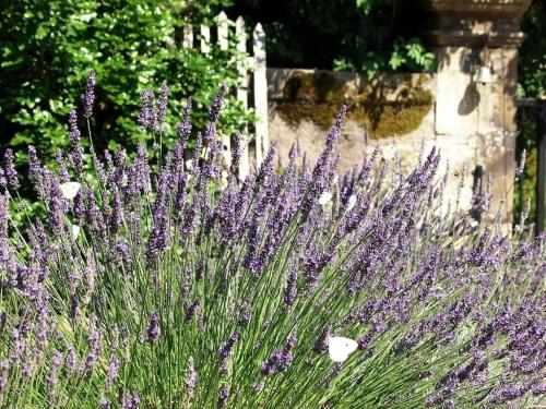Afbeelding uit fotogalerij van Chambre Saint-Nicolas, Le Prieuré in Aydoilles