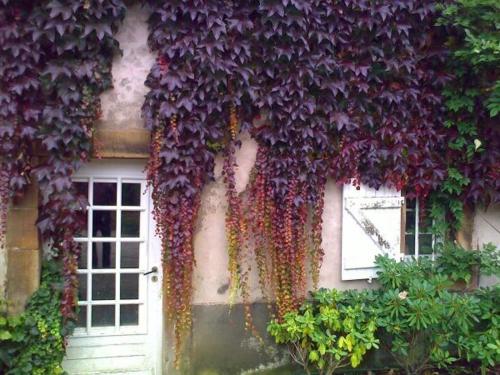 Afbeelding uit fotogalerij van Chambre Saint-Nicolas, Le Prieuré in Aydoilles