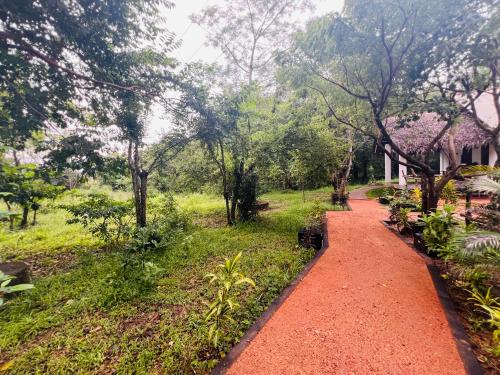 Vườn quanh Sigiriya Coconut Shade Resort