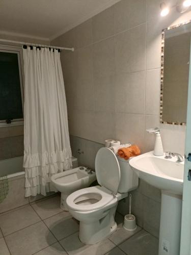a bathroom with a toilet and a sink at Departamento el estadio in Santiago del Estero