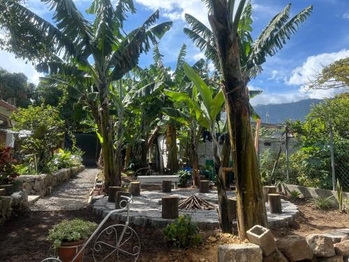 منظر الجبل العام أو منظر الجبل من الشقة