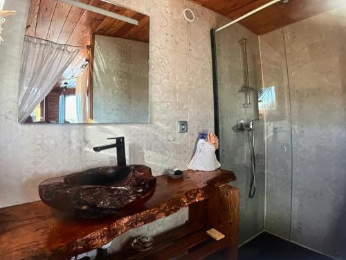een badkamer met een wastafel en een douche bij Roulotte à la campagne avec son spa à Cabariot in Cabariot