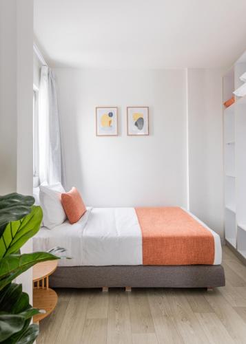 Sol by Zoia Living