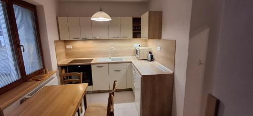 Řadovka Bílá في بيلا: مطبخ صغير مع حوض وطاولة