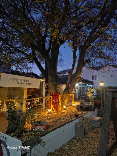 a tree in front of a house with lights at 서라벌옛집 in Samgong