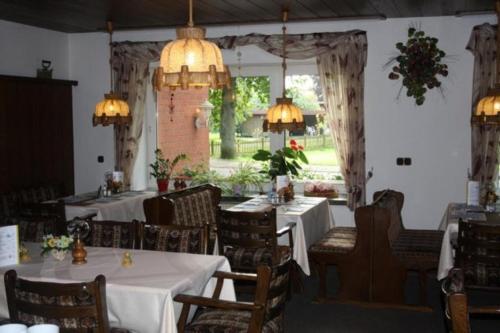 a dining room with tables and chairs and lights at Hotel-Gasthaus Burmester in Heidenau