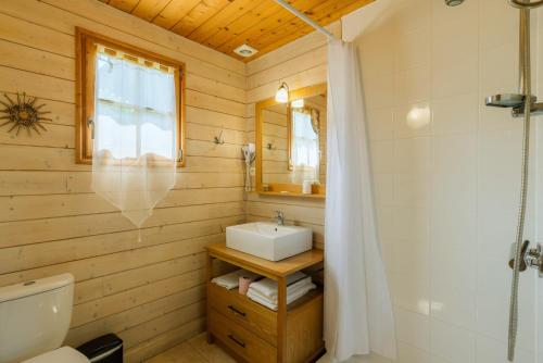 een badkamer met een wastafel, een toilet en een douche bij SAS Le Hameau des Grilles in Saint-Fargeau