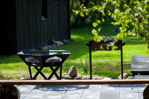 two planters sitting on the ground in a yard at Holiday cabin 'OAK' in Salacgrīva