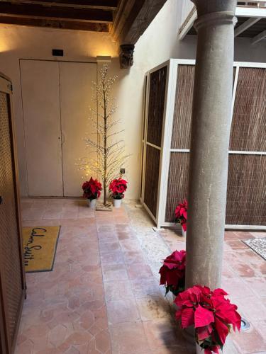 Φωτογραφία από το άλμπουμ του Calm Suites Babole στη Γρανάδα