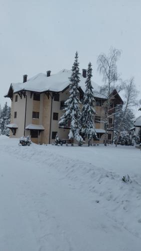 Apartman Loly Zlatibor v zimě