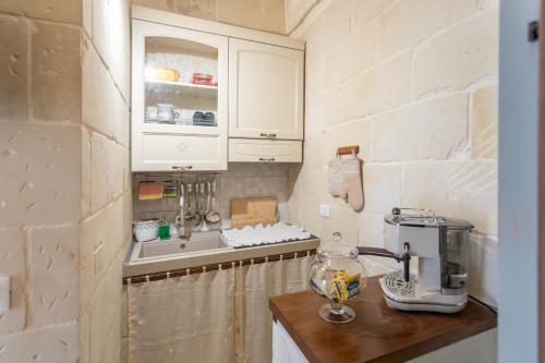 eine Küche mit einer Theke mit einem Mixer und einem Waschbecken in der Unterkunft A Casa di Nonna Lina in Lecce